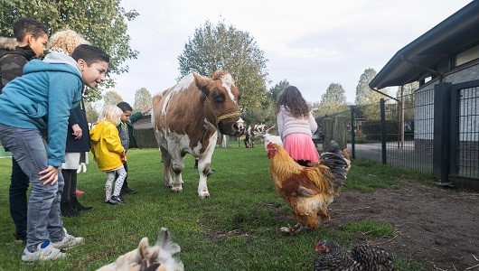 FW BOINK nr 441 580px