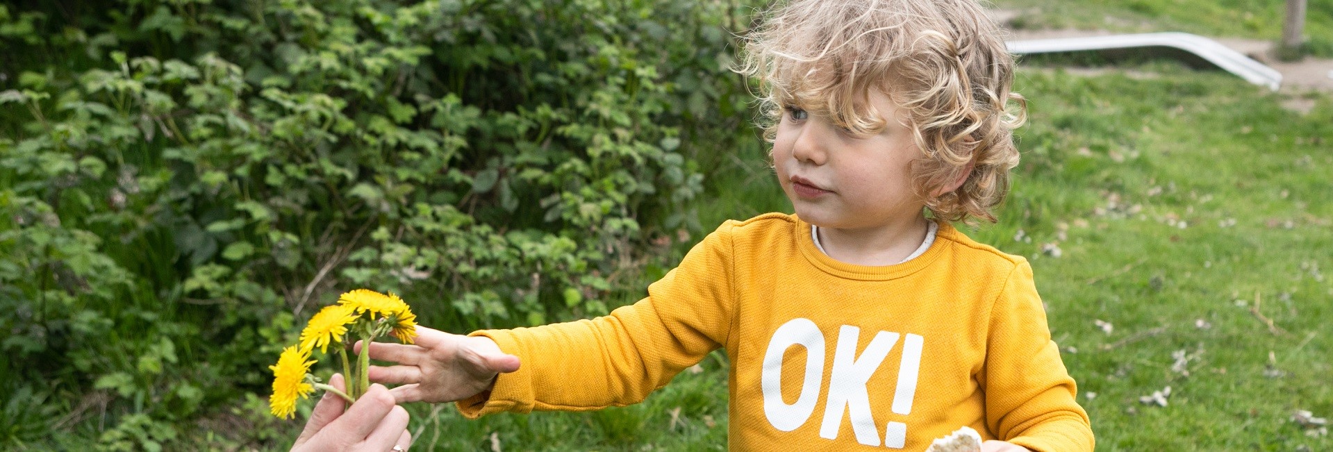 FW BOINK 2019 nr 391 1920x650 px
