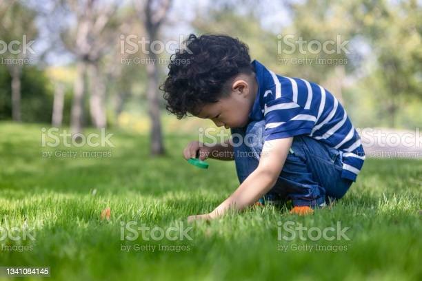 jongetje met speeltje in gras