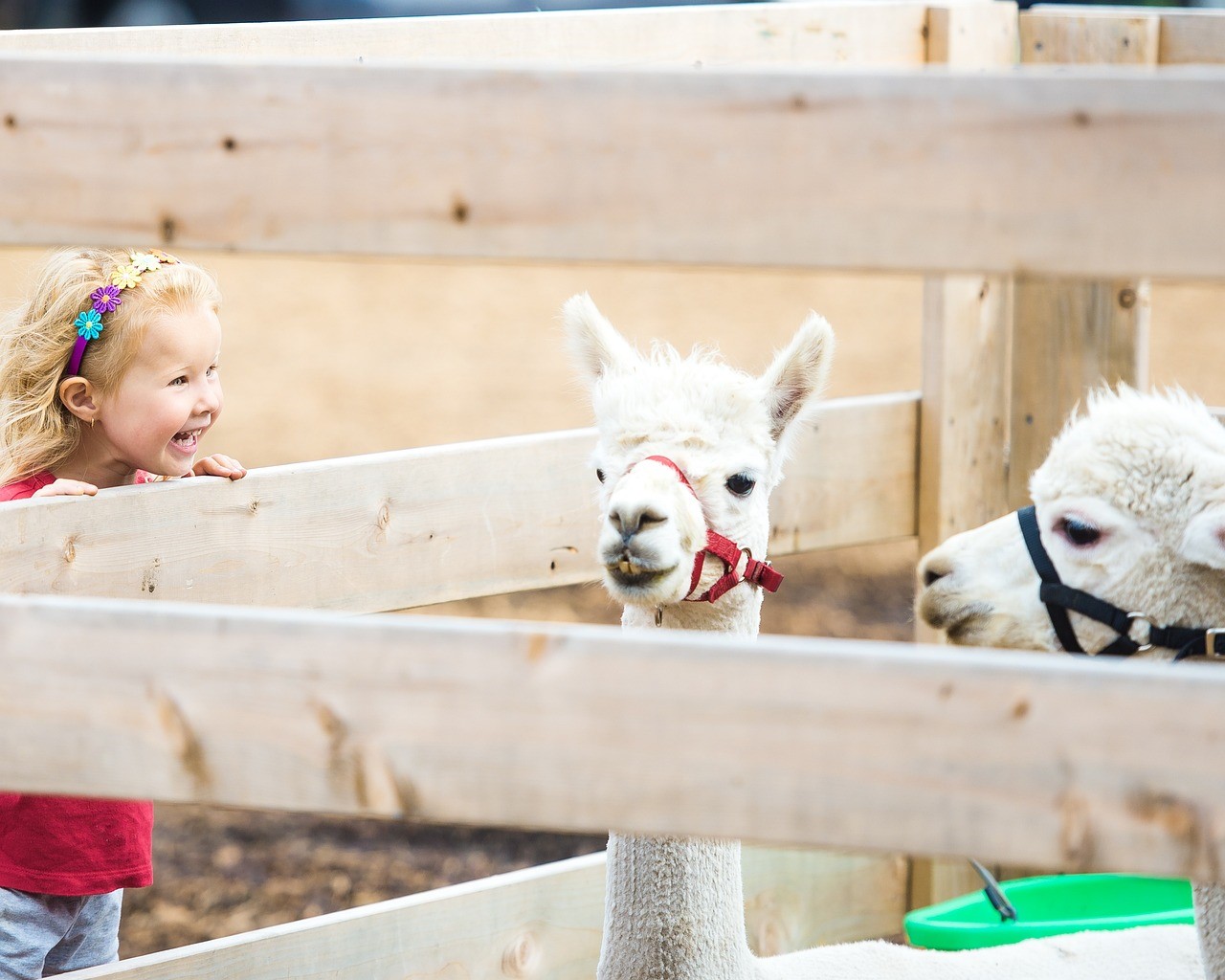 kinderboerderij