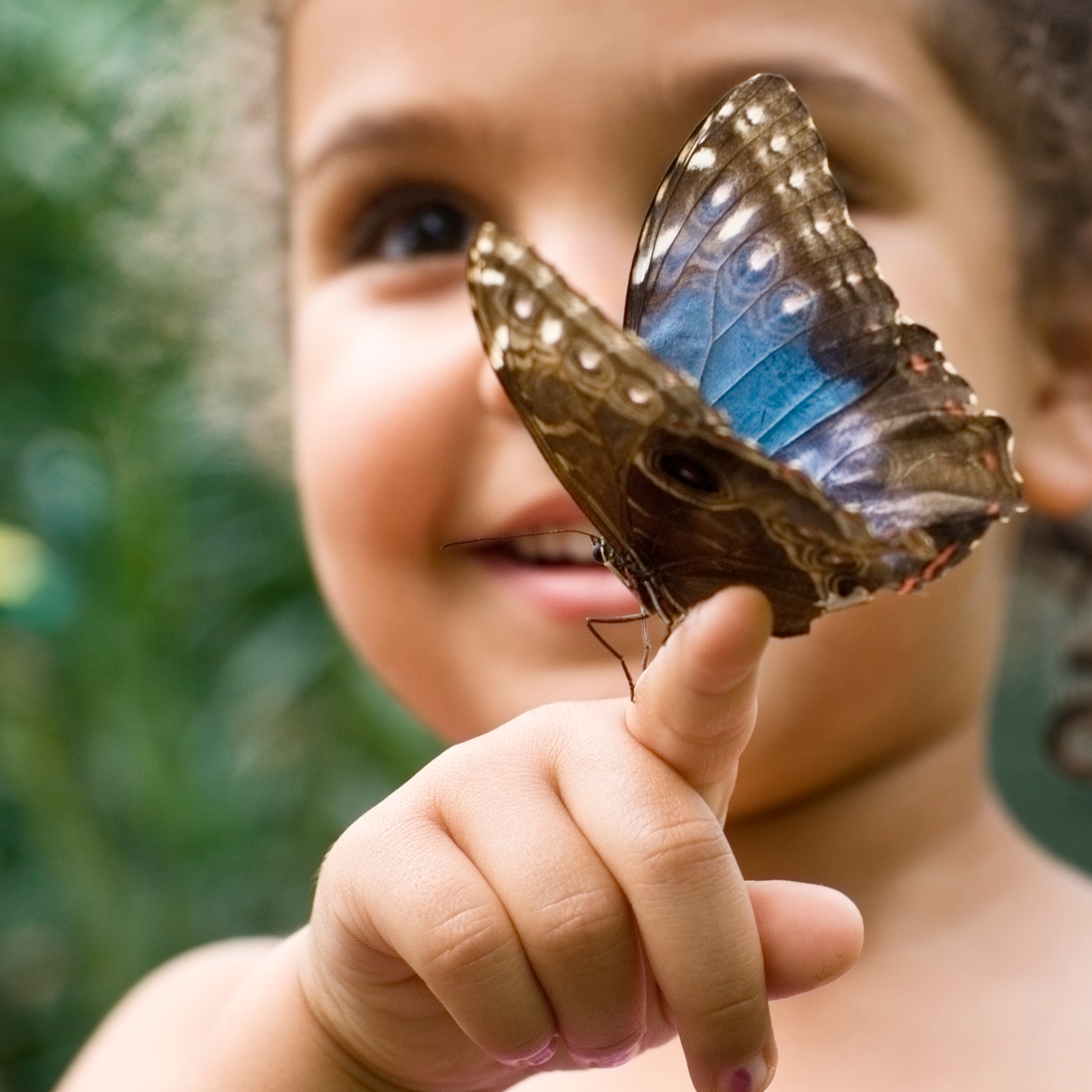 kind en vlinder